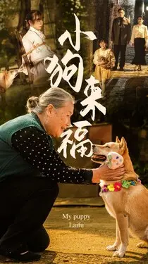 99久久免费精品视香蕉蕉