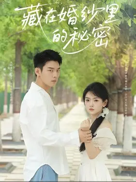 绝望的主妇|在线观看