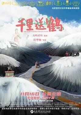99夂夂视频