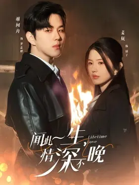 电视剧爱你一生不后悔